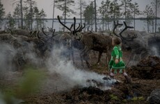'It's a painful life, but the most beautiful there is': A reindeer herd's journey to their winter home
