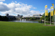 Gardaí investigating alleged sexual assault at UCD campus