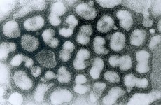US asks science journals to censor studies on man-made bird flu