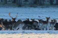 Much of the country is waking up to very cold conditions this morning