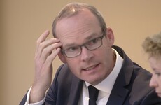 Simon Coveney: 'You don't wash your car with Ballygowan, because if you do you pay for it'