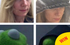 Someone's mam made herself into an evil kermit meme and it's going insanely viral