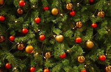 'A pint a day': How to make sure your real tree stays fresh until Christmas this year