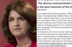 Burton outraged at letter to TDs claiming children adopted by same-sex couples are more likely to be abused