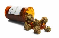 Medicinal cannabis: 'It's magic. I now swim three times a week and can take steps in the water'