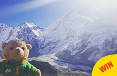 This teddy bear from Leitrim is travelling the world and documenting it all on Instagram