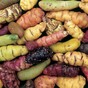 Rediscover your roots: 'Exotic oca thrives in Irish gardens'