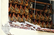 The farmers, their little pigs and the wolves: An Italy earthquake survival tale
