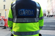 Garda gets €250k damages after being forced to retire early due to 'vicious' pub assault