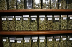 Cannabis-based products won't be in pharmacies tomorrow, but we have a timeline