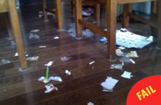 11 tweets that perfectly sum up the relationship between dogs and advent calendars