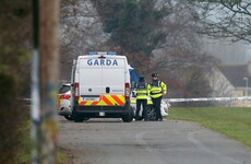Gun found in burned out car close to where criminal Mark Desmond was shot dead