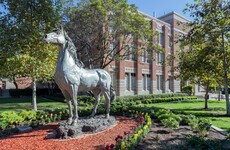 Student stabs college professor to death in 'personal dispute'