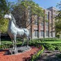 Student stabs college professor to death in 'personal dispute'
