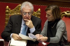Italian parliament passes vote of confidence in Monti's government
