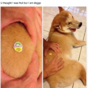 Here's what's going viral today: Monday