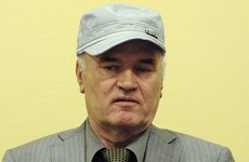 'Butcher of Bosnia': Prosecutors make their closing arguments in genocide trial