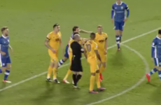 Irish striker Doyle and team-mate Beckford to refund fans after fighting with each other