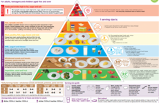 The new food pyramid: More fruit and veg, fewer carbohydrates (and no white bread)