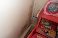 Experts say tenants are not to blame for council flat mould