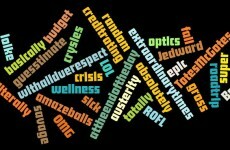 The words that most annoyed YOU in 2011