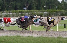 'It's unreal that it happened': Four men arrested as stolen greyhound found safe and well