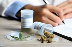 "For people in pain like me, medicinal cannabis could be a matter of life and death"