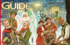 9 important thoughts we have about this year's RTÉ Christmas Guide cover
