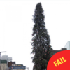 Montreal put up their Christmas tree this week and everyone is taking the piss