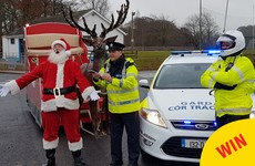 Gardaí pulled over a rather suspicious character in Kildare this morning