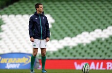 Leinster hope to have Sexton back in harness for Christmas inter-pros