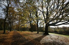 Wrapping up warm? No need, it's going to stay mild this weekend