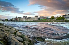 Jobs boost for Limerick as medtech company announces 100 new posts