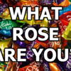 What Rose Are You?