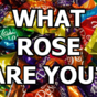 What Rose Are You?