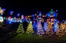 This Carlow family has gone all out with their Christmas lights for a good cause