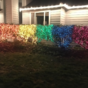 Here's what's going viral today: Sunday
