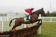 The New One lands third International Hurdle victory at Cheltenham