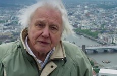 Everyone is full of praise for David Attenborough after last night's Planet Earth 2 finale