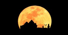 Top 10 TheJournal.ie stories that you searched for in 2011