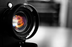 Woman suspended after posing for pornographic images in Belgian government building