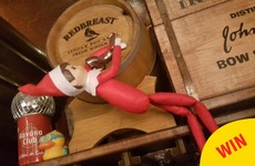 Galway pub An Púcán has employed an Elf on the Shelf just in time for Christmas
