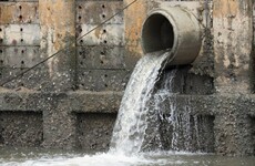 These are the European cities that use the most drugs (based on their toilet water)