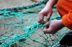 Irish fishermen will be able to catch more fish next year (but less cod and pollock)