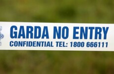 Three men arrested in Cobh gun and ammunition seizure