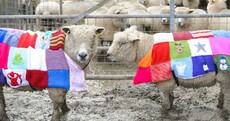 Here's What Happened Today: Thursday