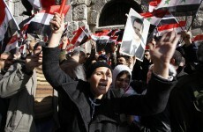 'Whitewash' - Protests rage in Syria as Arab League monitors arrive