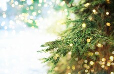 A diplomatic Christmas: Ambassadors to Ireland explain what the big day means to them