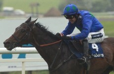 Hurricane Fly misses Leopardstown Festival