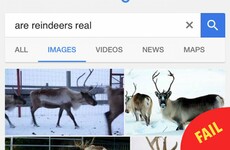 8 people who just found out that reindeer are real animals